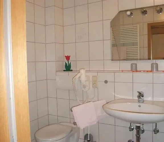 Otel Alte Post 3*